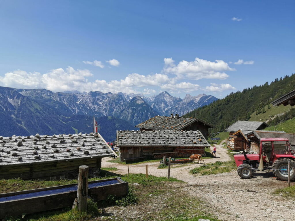 Die urigste Alm am Achensee - auf der Dalfazalm